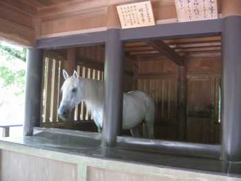 神の馬 小豆島ふるさと村の国民宿舎小豆島 ふるさと荘宿泊課スタッフブログ