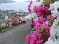 DSC047366.jpg
