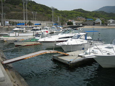 IMG_2871.jpg