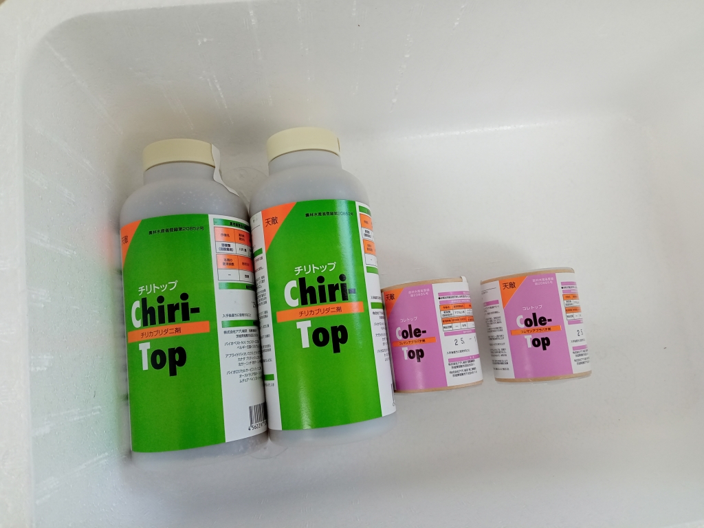 2025.11.20天敵放飼