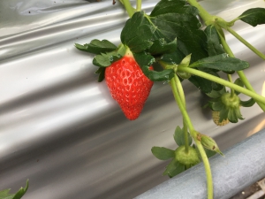 BC438B13-7E30-49C8-A9A4-7D7F1DBCA15E