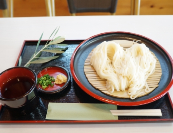 生そうめん　