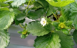 2025.11.5さぬき姫