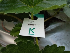 2025.11.6エンストリップ